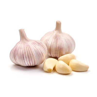 Чеснок крупный 1 кг - купить в Танеевке