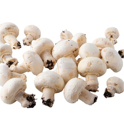 Шампиньоны свежие 500 г - купить в Танеевке